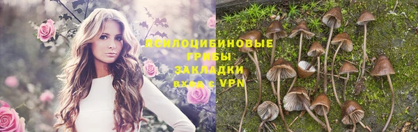 ALPHA-PVP Аркадак